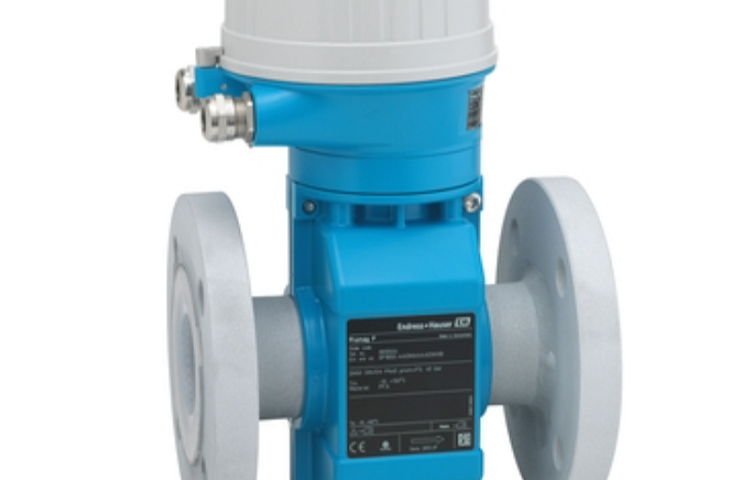 Электромагнитный расходомер Proline Promag P 100 Endress+Hauser